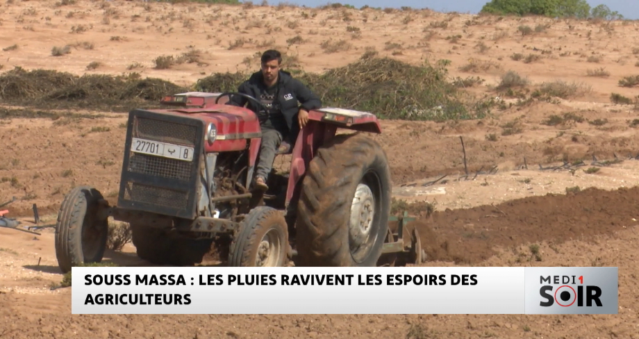 Souss Massa : des pluies ravivent les espoirs des agriculteurs 