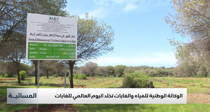 الوكالة الوطنية للمياه والغابات تخلد اليوم العالمي للغابات