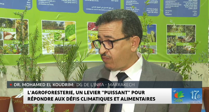 L'agroforesterie, un levier "puissant" pour répondre aux défis climatiques et alimentaires