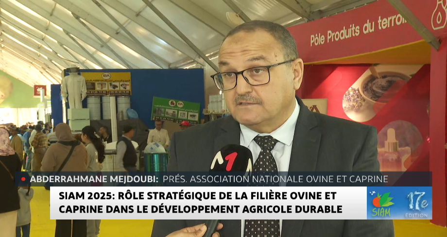SIAM 2025 : le rôle stratégique de la filière ovine et caprine dans le développement agricole durable avec Abderrahmane Mejdoubi SIAM 2025 : le rôle stratégique de la filière ovine et caprine dans le développement agricole durable avec Abderrahmane Mejdoubi
