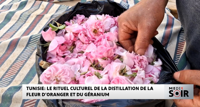 Le rituel culturel de la distillation de la fleur d'oranger et du géranium 
