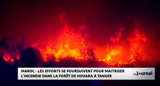 Tanger : les efforts se poursuivent pour maitriser l'incendie dans la forêt de Houara