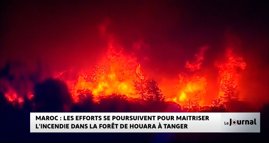 Tanger : les efforts se poursuivent pour maitriser l'incendie dans la forêt de Houara