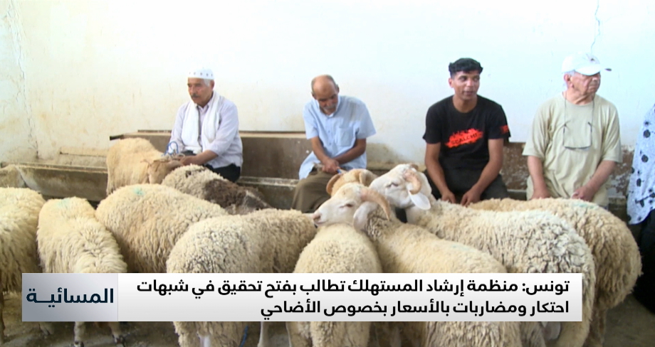 تونس: منظمة إرشاد المستهلك تطالب بفتح تحقيق في شبهات احتكار ومضاربات بالأسعار بخصوص الأضاحي