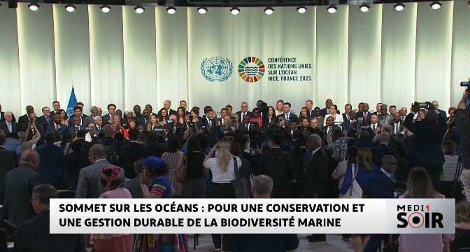 Sommet sur les océans : pour une conservation et une gestion durable de la biodiversité marine