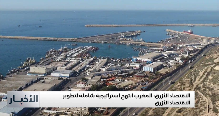 قمة إفريقيا من أجل المحيط: إشادة بالمبادرة المغربية في تطوير الاقتصاد الأزرق في القارة الإفريقية
