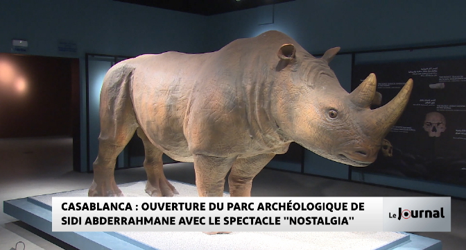 Casablanca : ouverture du Parc archéologique de Sidi Abderrahmane avec le spectacle "Nostalgia"