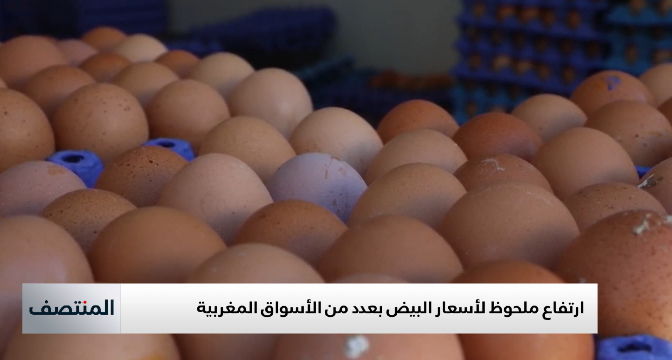 ارتفاع ملحوظ لأسعار البيض بعدد من الأسواق المغربية