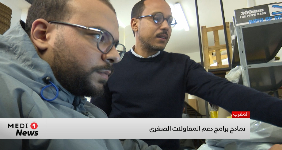 نماذج برامج دعم المقاولات الصغرى