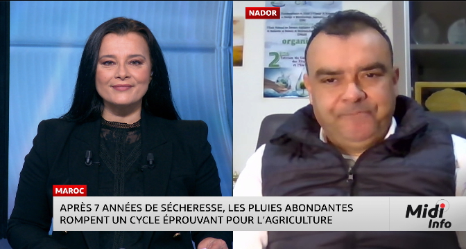 Les pluies abondantes rompent un cycle éprouvant pour l’agriculture : analyse de Kamal Aberkani