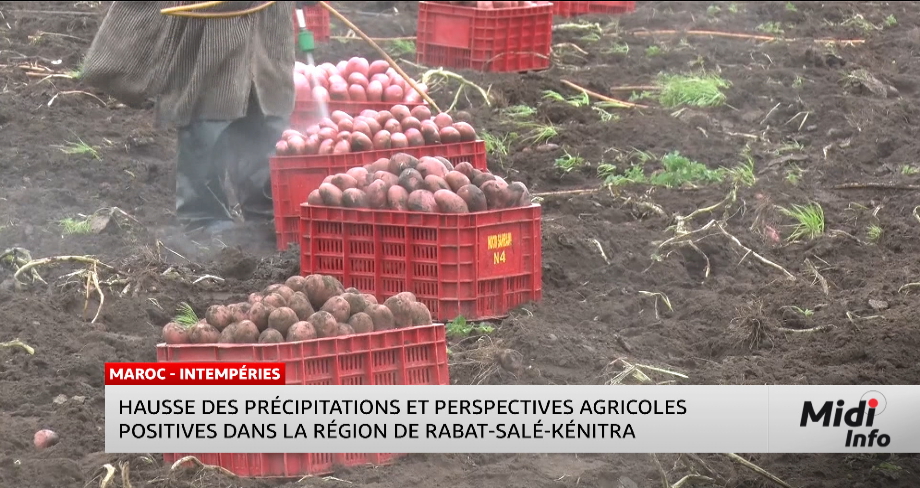 Pluies exceptionnelles à Rabat-Salé-Kénitra : un souffle pour l’agriculture