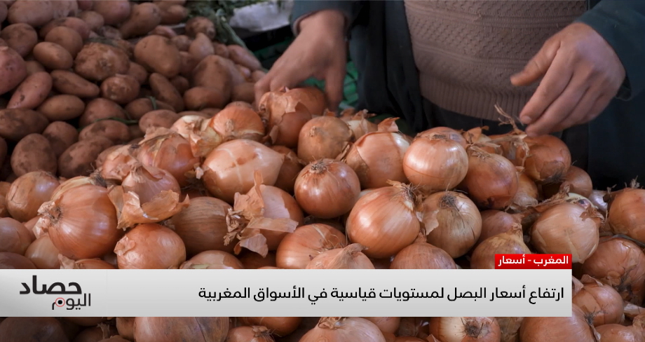 ارتفاع سعر البصل في الأسواق المغربية.. الأسباب والعوامل 