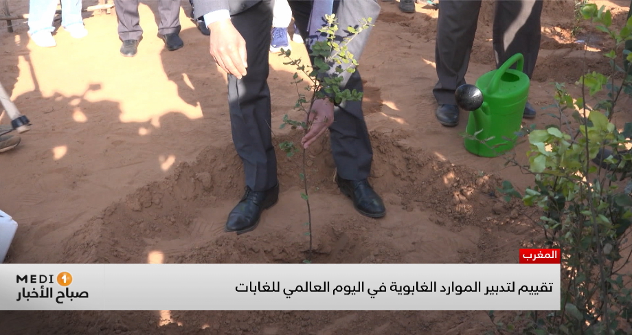 تقييم لتدبير الموارد الغابوية في اليوم العالمي للغابات 