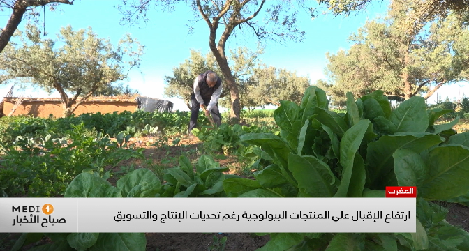 ارتفاع الإقبال على المنتجات البيولوجية رغم تحديات الإنتاج والتسويق