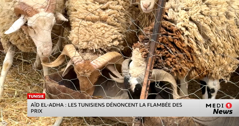 Aïd Al-Adha : les Tunisiens dénoncent la flambée des prix