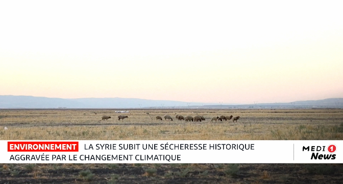 Syrie : la sécheresse historique de 2025 continue de peser sur les terres agricoles
