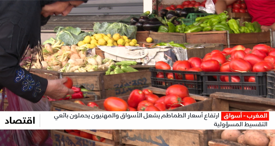 ارتفاع أسعار الطماطم يشعل الأسواق