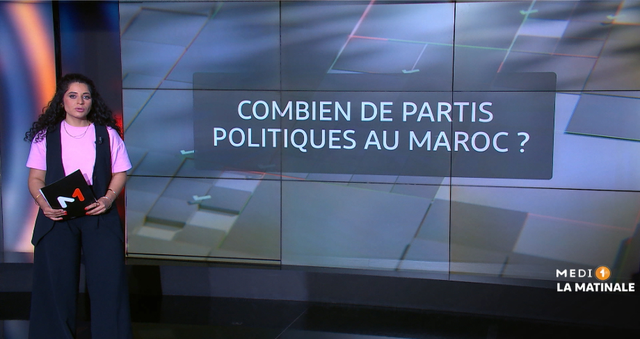 Législatives 2026 : combien de partis politiques participent au scrutin?