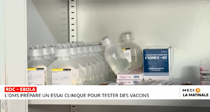 Ebola : l’OMS prépare un essai clinique pour tester des vaccins