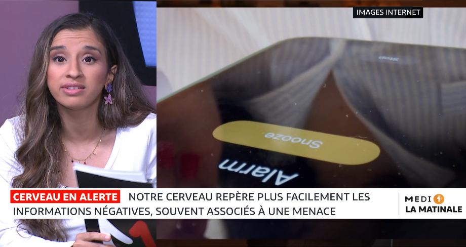 Sciences & Nous : ce qu'il faut savoir sur le cerveau 