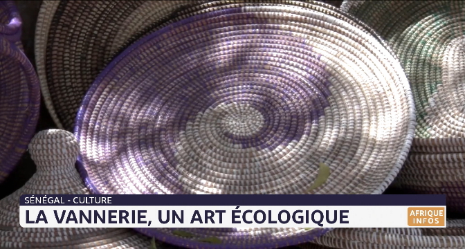 Sénégal : La vannerie, un art écologique