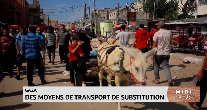 Gaza : Des moyens de transport de substitution