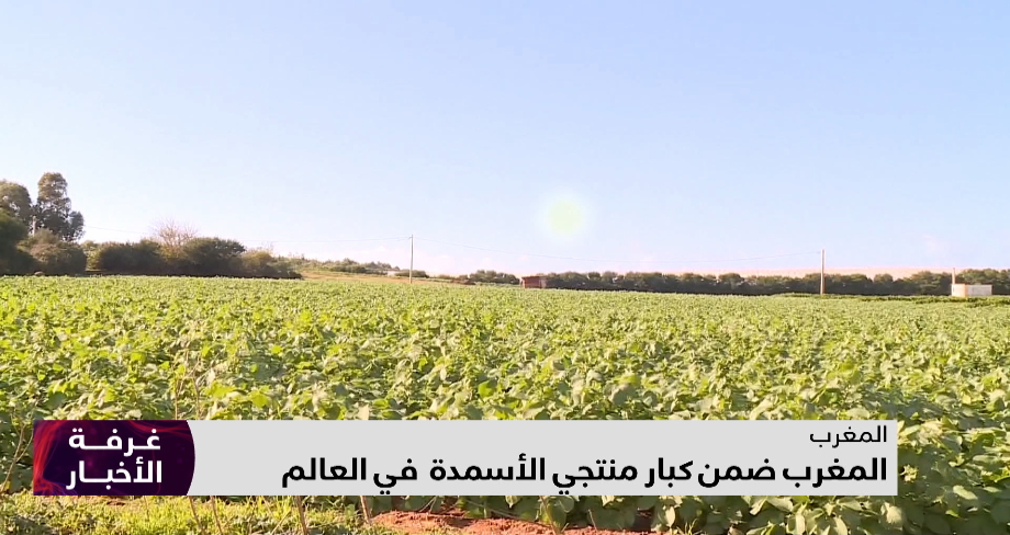 المغرب ضمن كبار منتجي الأسمدة في العالم