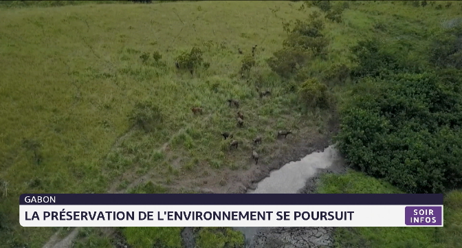 Gabon: la préservation de l'environnement se poursuit
