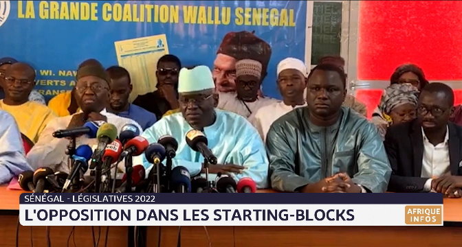 Sénégal-législatives 2022: l'opposition dans les starting-blocks 