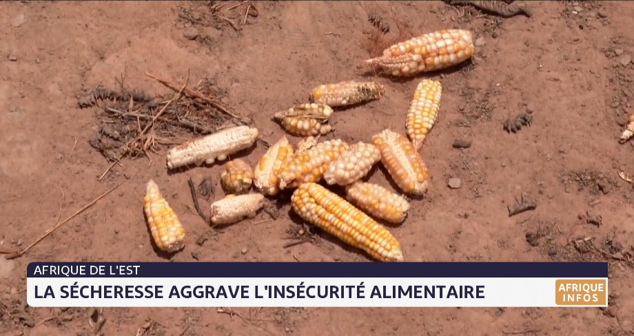 Afrique de l'Est: la sécheresse aggrave l'insécurité alimentaire