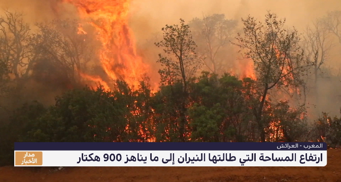إقليم العرائش.. ارتفاع المساحة التي طالتها النيران إلى ما يناهز 900 هكتار
