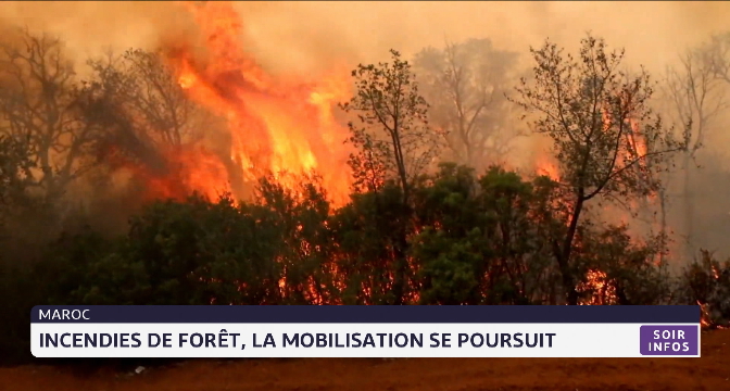 Maroc: incendies de forêt, la mobilisation se poursuit