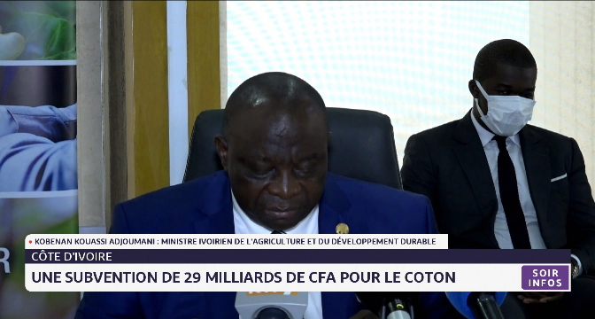 Côte d'Ivoire : une subvention de 29 milliards de CFA pour le coton