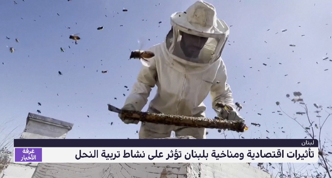 تأثيرات اقتصادية ومناخية بلبنان تؤثر على نشاط تربية النحل
