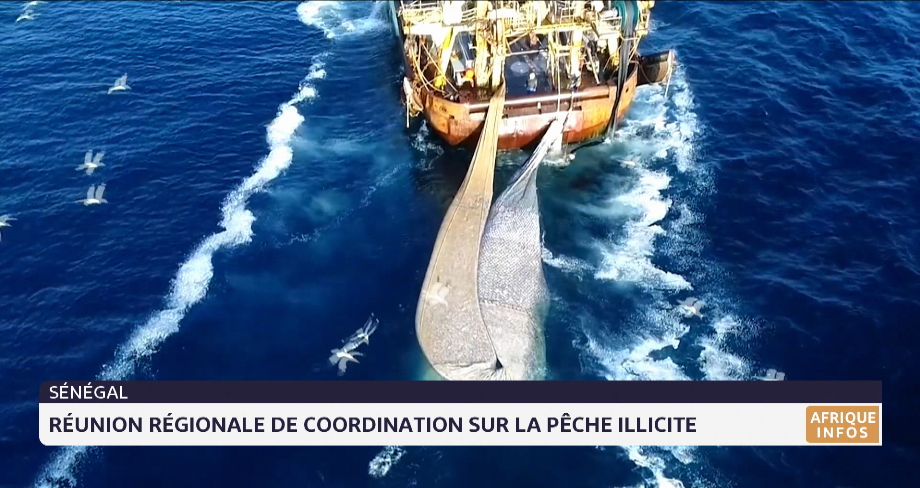 Sénégal : Réunion régionale de coordination sur la pêche illicite