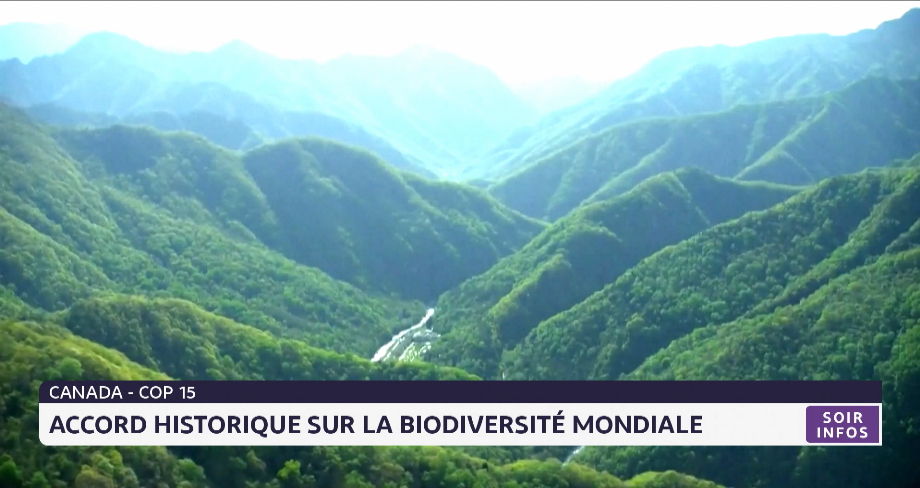 Reportage .. Canada- Cop15: Accord Historique Sur La Biodiversité Mondiale