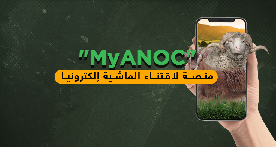 "MyANOC" .. منصة لاقتناء الماشية إلكترونيا