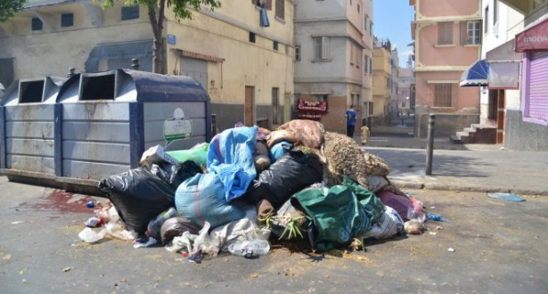 Ø¹ÙØ¯ Ø§ÙØ£Ø¶Ø­Ù .. Ø­ÙÙØ© ØªØ­Ø³ÙØ³ÙØ© Ø­ÙÙ Ø§ÙÙØ¸Ø§ÙØ© ØªØ­Øª Ø´Ø¹Ø§Ø± " Ø¹ÙØ¯ ÙØ¨Ø§Ø±Ù ÙØ¸ÙÙ"