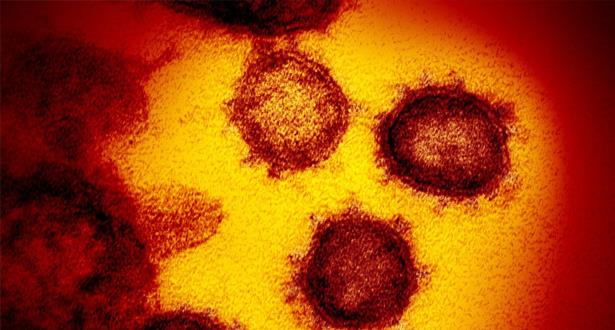 الإمارات تعلن عن إصابتين جديدتين بفيروس "كورونا" الجديد
