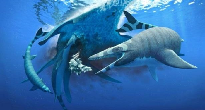 المغرب.. اكتشاف "موزازور" جديد من العصر الطباشيري، سحلية بحرية بـ "أسنان القرش"