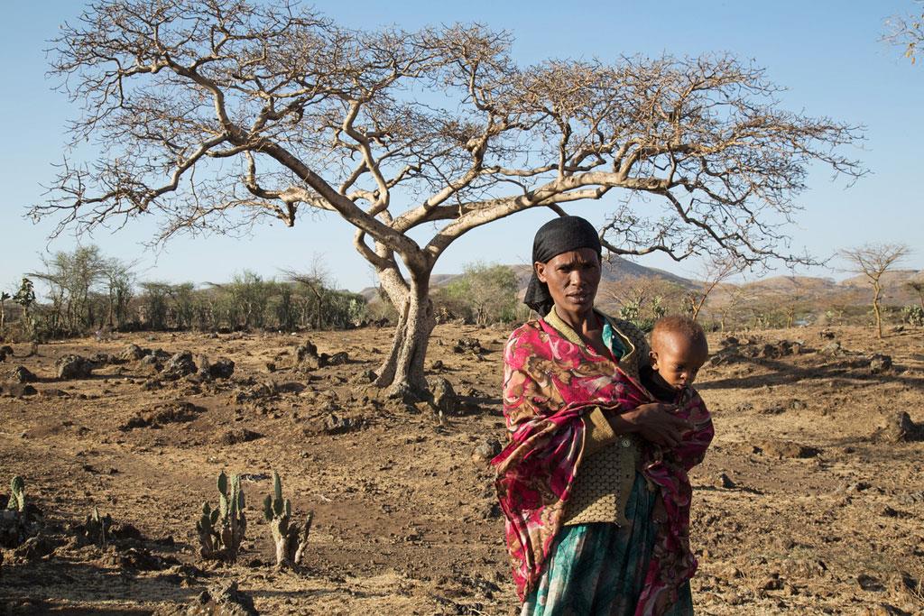 Ethiopie : sécheresse : l'hydroponie, une solution pour les
