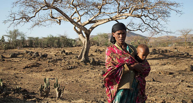 PAM : rapport sur l’insécurité alimentaire en Ethiopie en 2023