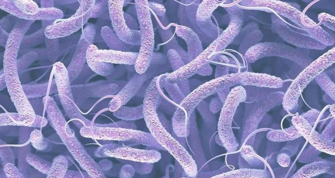 Epidémie du choléra : 25.000 nouveaux cas en mars