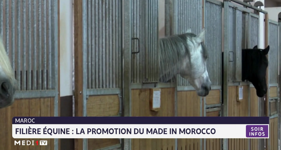 Maroc- filière équine, la promotion du "Made in Morocco" 