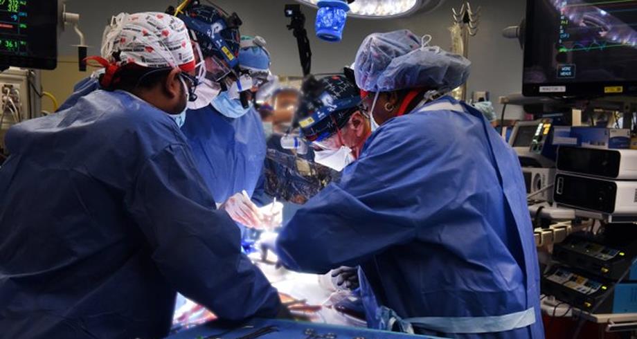 جراحون أمريكيون ينجحون في زراعة قلب خنزير في إنسان