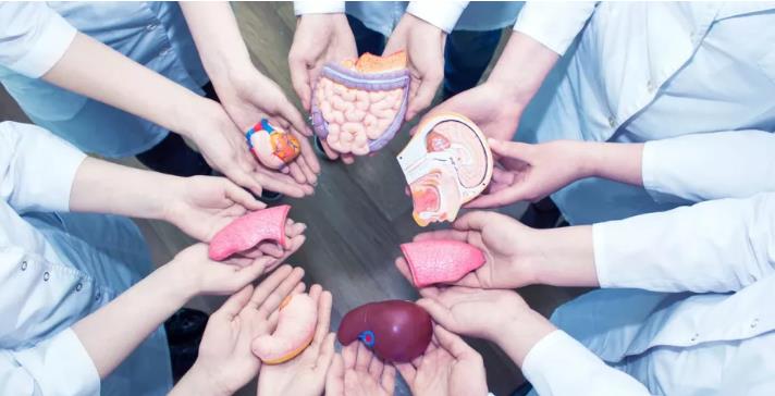 ألمانيا .. عدد المتبرعين بالأعضاء يبلغ أعلى مستوى له سنة 2025