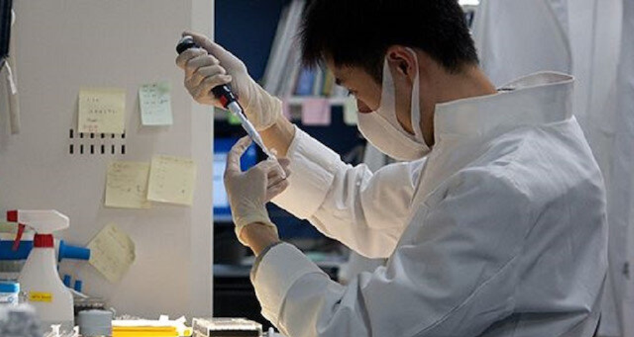 اليابان تختبر لأول مرة الخلايا الجذعية لعلاج إصابات العمود الفقري