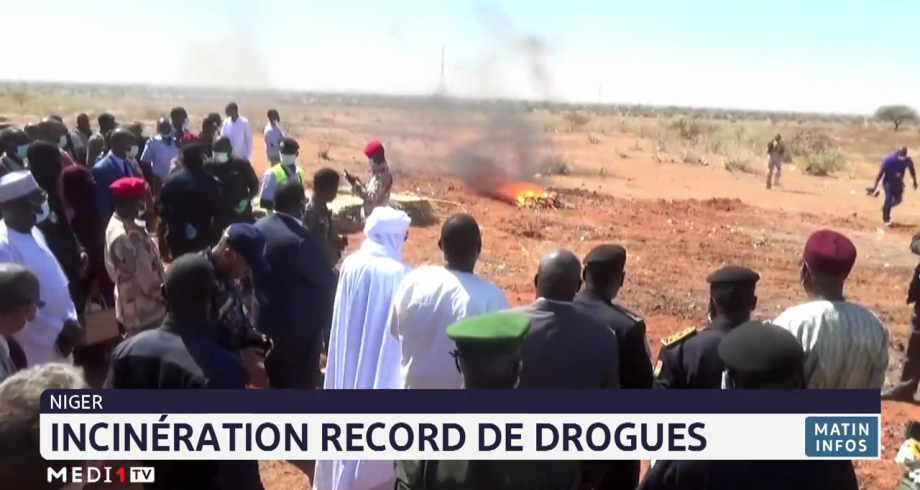 Niger: incinération record de drogues