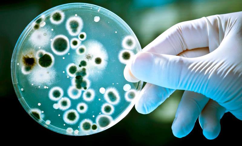 علماء يبتكرون مضادا للميكروبات يتغلب على آليات تستخدمها البكتيريا لمواجهة المضادات الحيوية شائعة الاستخدام