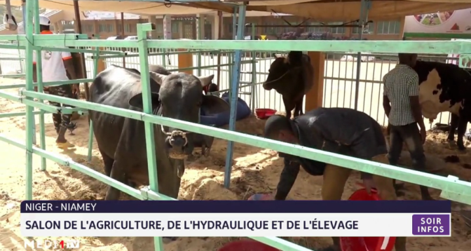 Niger-Niamey: salon de l’agriculture, de l’hydraulique et de l’élevage 